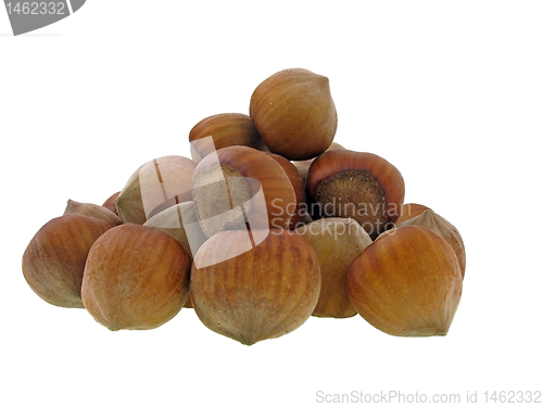 Image of hazel nuts   