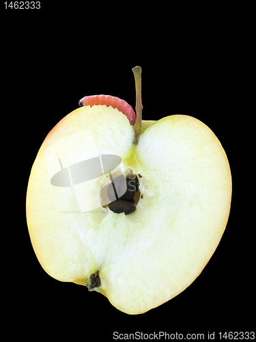 Image of worm on apple
