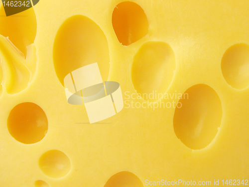 Image of cheese with holes
