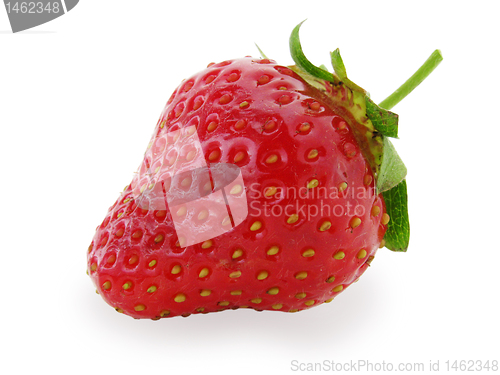 Image of strawberry