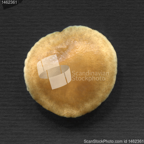 Image of Mushroom