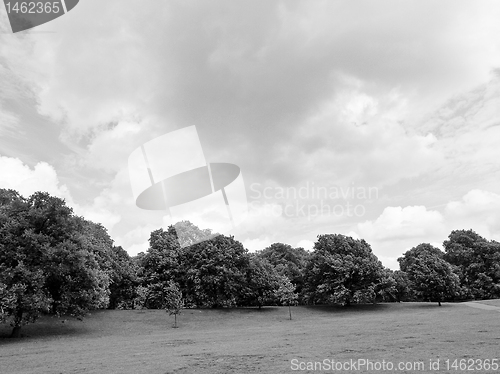 Image of Kensington gardens, London