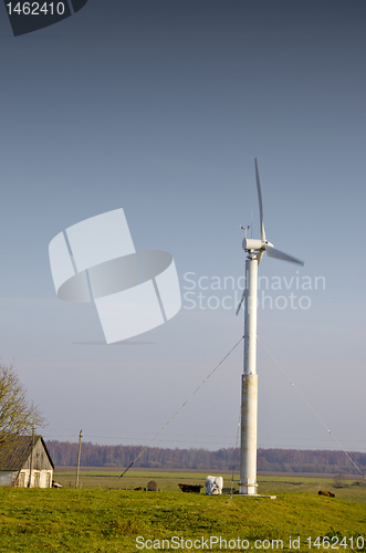 Image of Windmill near farm building and cows grazing.