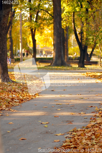 Image of Autumn park