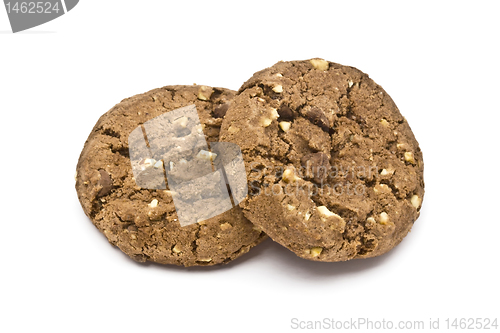 Image of chocolate cookie