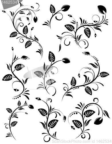 Image of Collect flower border