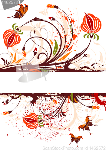 Image of Flower background
