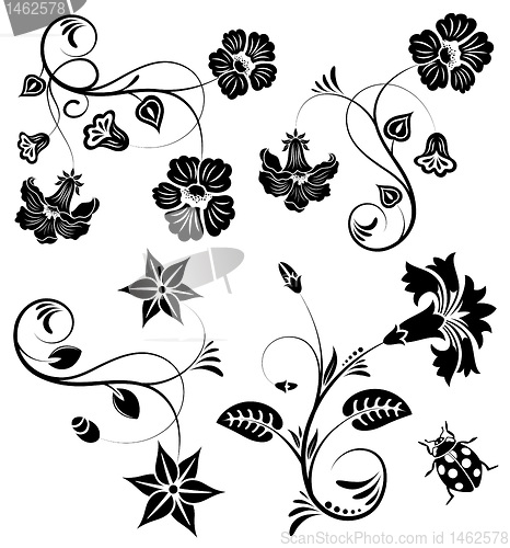 Image of Collect flower border