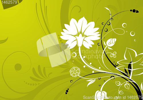 Image of Floral background
