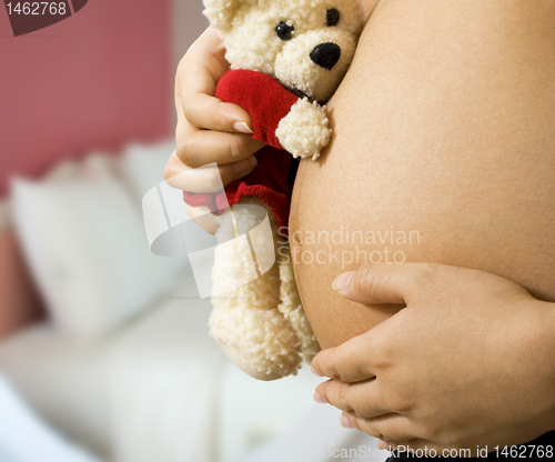 Image of Mom With Teddy Expecting A Baby