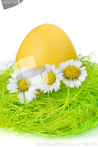 Image of easter egg in nest