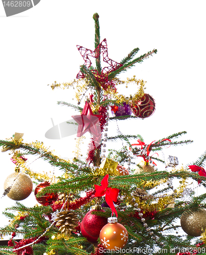 Image of decorated christmas tree