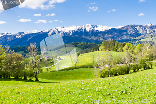 Image of alpine landscape