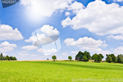 Image of agriculture landscape