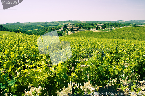 Image of Typical Tuscan landscape