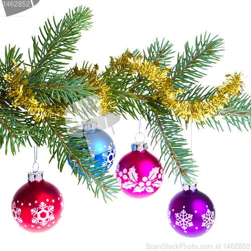Image of christmas balls on spruce branch