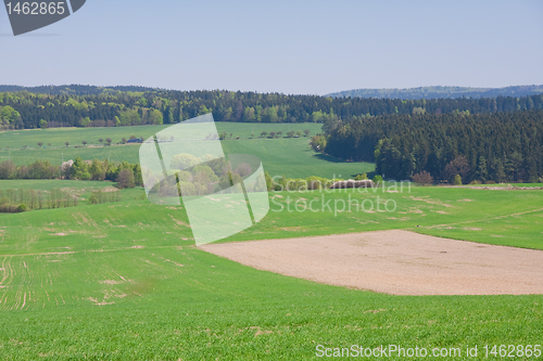 Image of grassland in the springtime