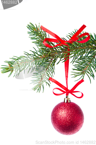 Image of red christmas ball hanging from tree