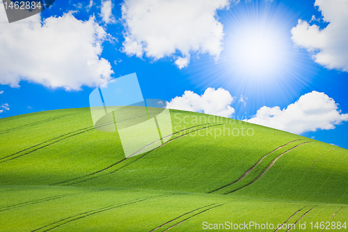Image of green field