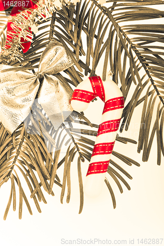Image of Christmas branch 