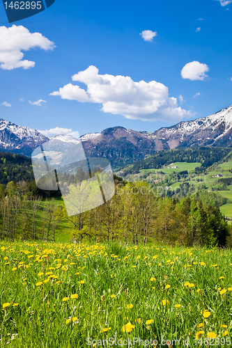 Image of alpine landscape