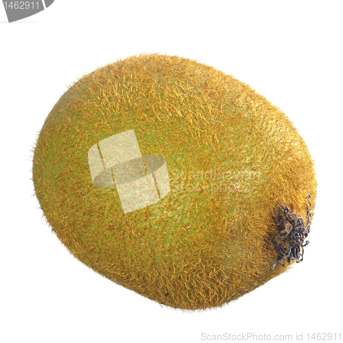 Image of kiwi