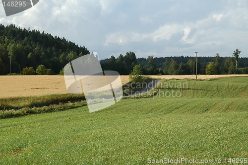 Image of Roling fields in Eastern Norway