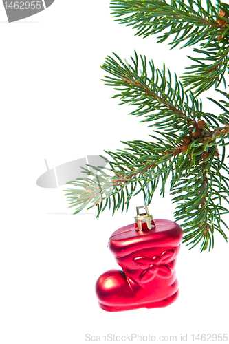 Image of red christmas star hanging from tree