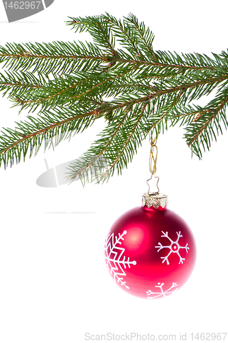 Image of red ball hanging from spruce christmas tree