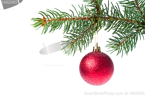 Image of christmas ball on branch