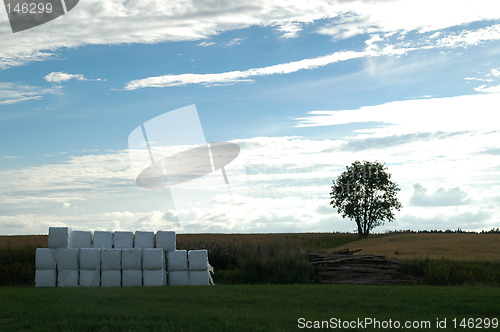 Image of Grass stacks stored for the winter