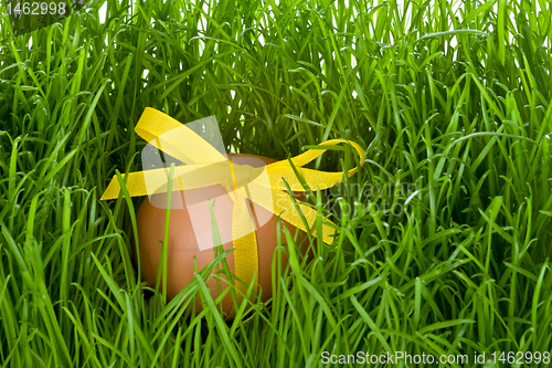 Image of easter egg and grass