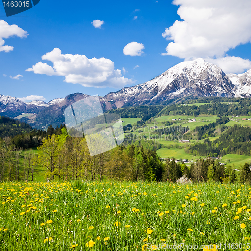 Image of alpine landscape