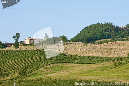 Image of Typical Tuscan landscape