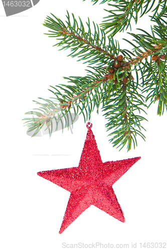 Image of red christmas star hanging from tree