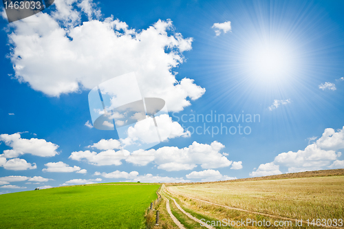Image of agriculture landscape