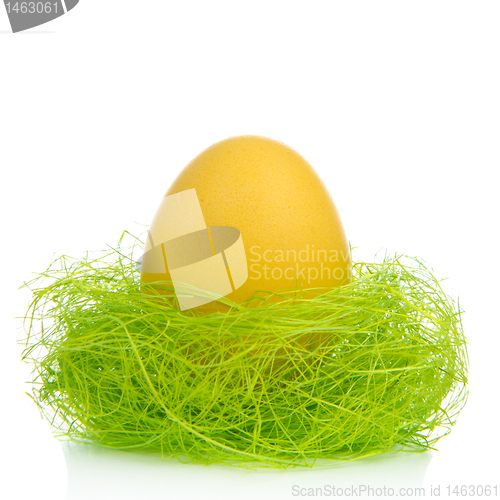 Image of easter egg in nest