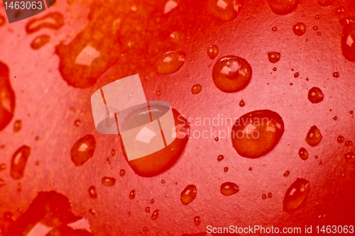 Image of tomato closeup