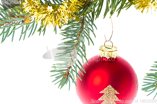 Image of red christmas ball on branch