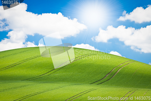 Image of green field