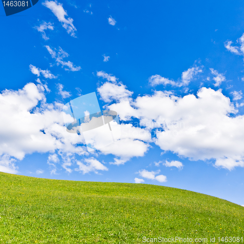 Image of green field