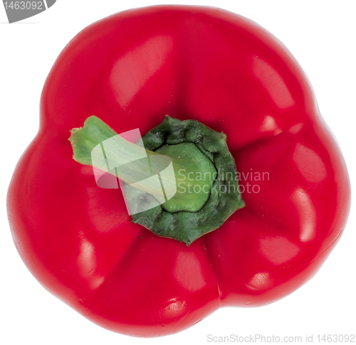 Image of sweet pepper