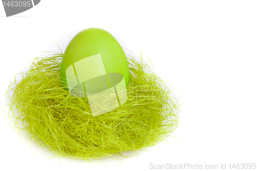 Image of easter egg in nest