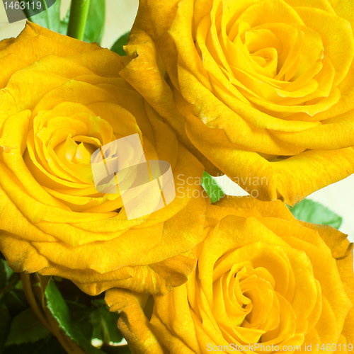 Image of rose bouquet