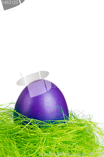 Image of easter egg in nest