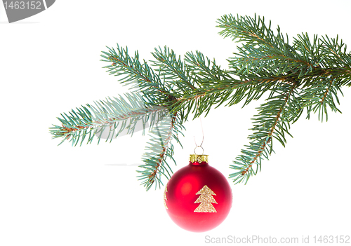 Image of red christmas ball on branch