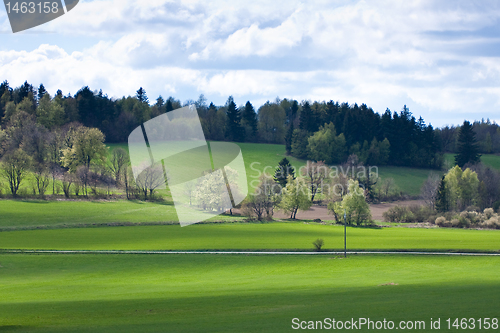 Image of green field
