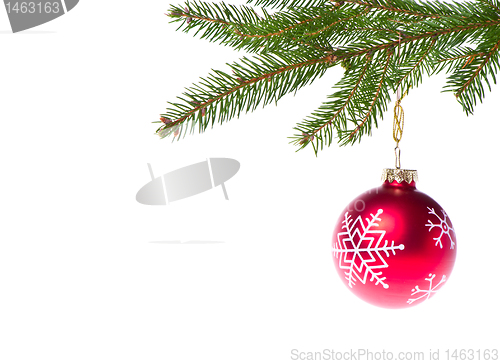 Image of red ball hanging from spruce christmas tree