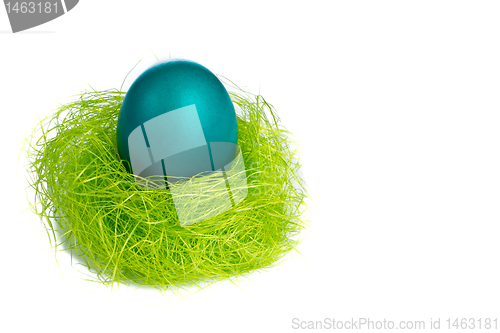 Image of easter egg in nest