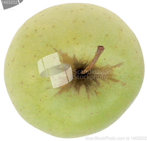 Image of fresh apple